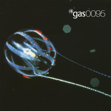 Gas -  0095